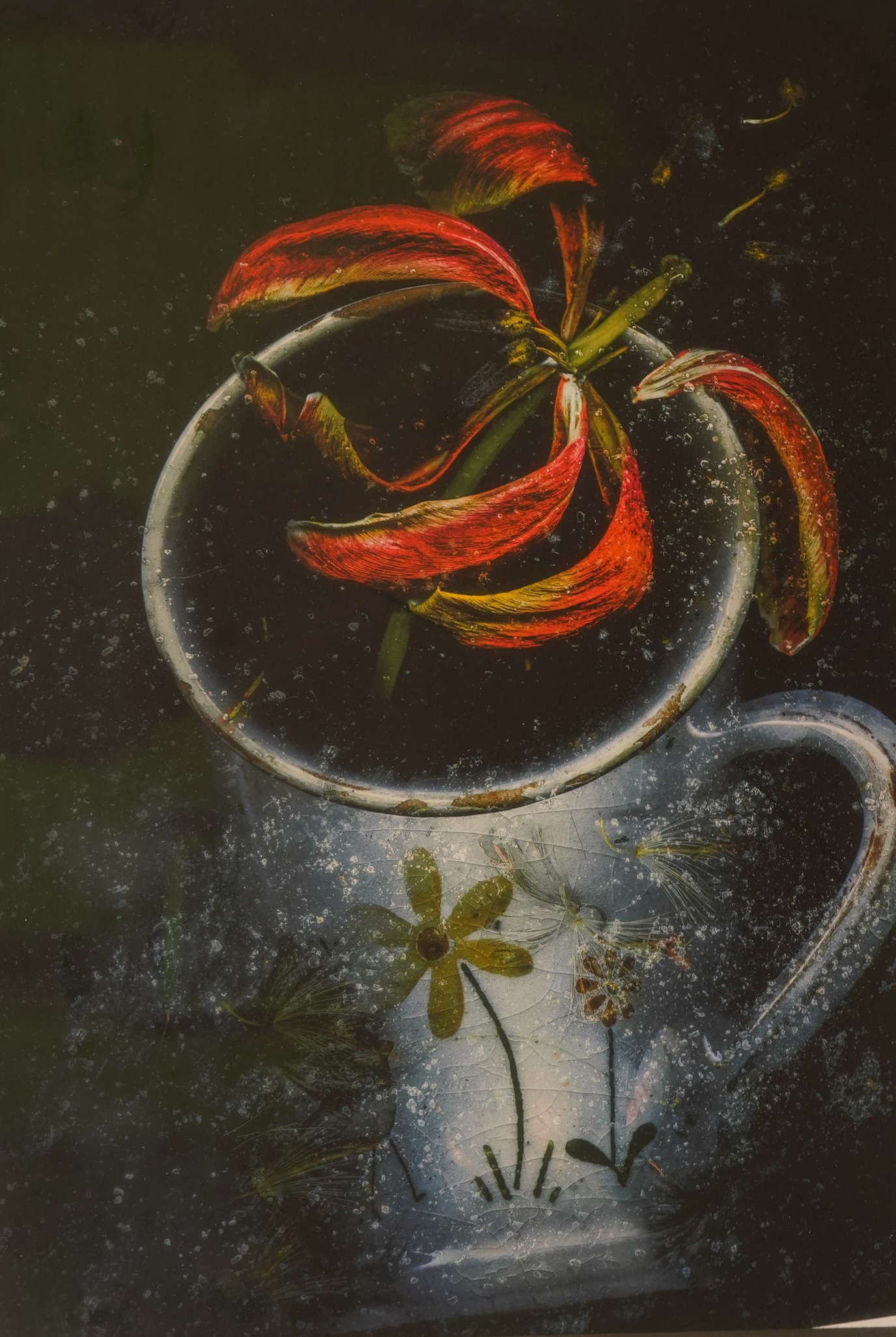 Three photographic prints to include one by Valda Bailey (contemporary), abstract composition, signed and limited edition 3/10, and a pair of prints on metal by Karen Waters, birds, signed verso, largest 32 x 48cm, Prove